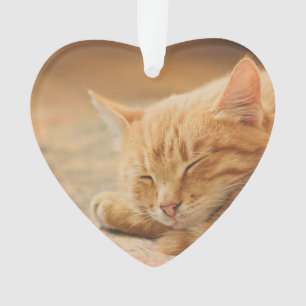 Ornamento Gato de gato malhado alaranjado do sono