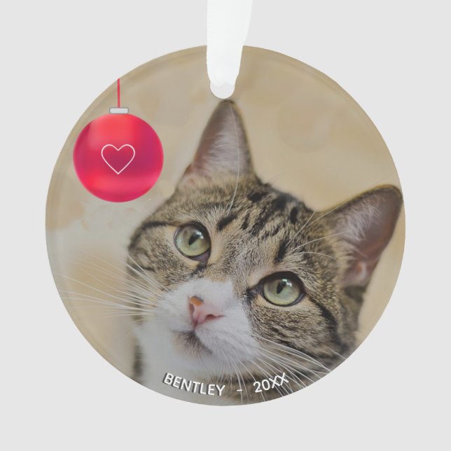 Ornamento Gato tabby personalizado fofo com foto de bola de  (Frente)
