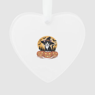 Ornamento Gato Tuxedo Halloween Bruxa Abóboras Fofo Essencia