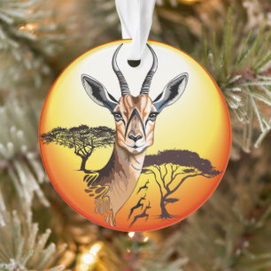 Ornamento Gazelle African Antelope Wild Animal