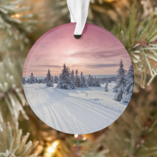 Ornamento Gelo e neve Lillehammer, Noruega