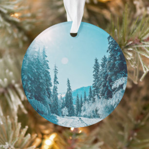 Ornamento Gelo e neve Reserva Natural de Altai, Rússia