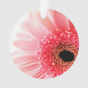 Ornamento Gerbera Daisy Poster