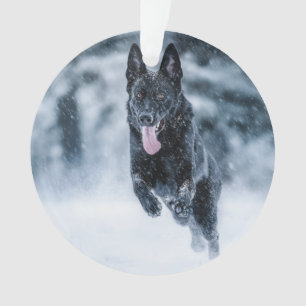 Ornamento German shepherd preto no Cobrir da escova de neve