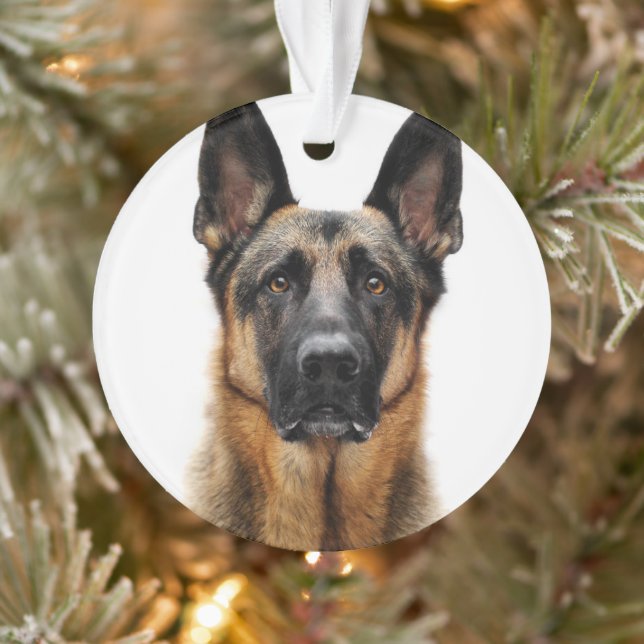 Ornamento German shepherd Sentado (Árvore)