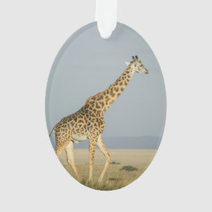Ornamento Girafa