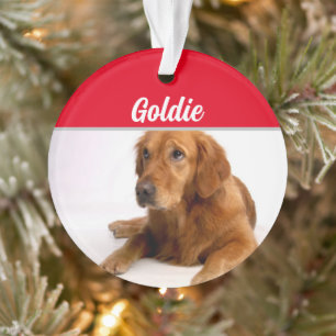 Ornamento Golden Retriever with Name and Photo Christmas