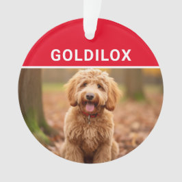 Ornamento Goldendoodle com nome de cão Foto Natal