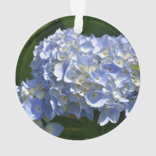 Ornamento Gordo Flor Azul Claro Hidrangea Bush