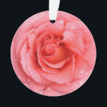Ornamento Gotas Românticas de Água Rosa Rosa Rosa Vermelha<br><div class="desc">Rosa vermelha e rosa romântica com gotas de água.</div>