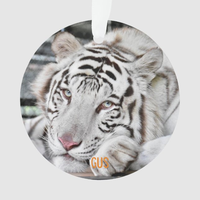 Ornamento Gus - (Frente)