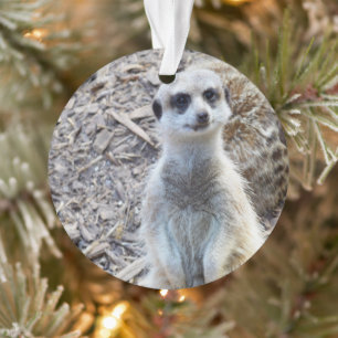 Ornamento Happy Little Meerkat,