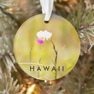 Ornamento Hawaii Tropical 2 Foto/Texto