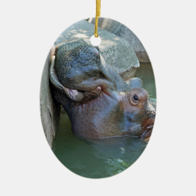 Ornamento Hippo (Frente)