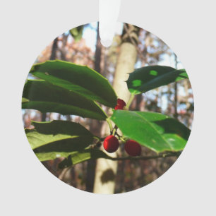 Ornamento Holly deixa eu feriado botânico