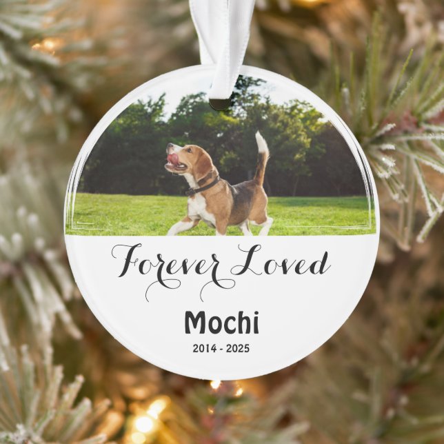Ornamento Homenagem Personalizada para Animais de Estimação  (Árvore)