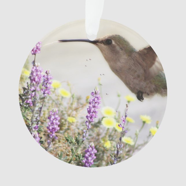 Ornamento Hummingbird e flores silvestres Arte digital (Frente)