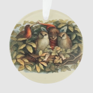 Ornamento Ilustração da Natureza de Corujas e Fadas Elficas