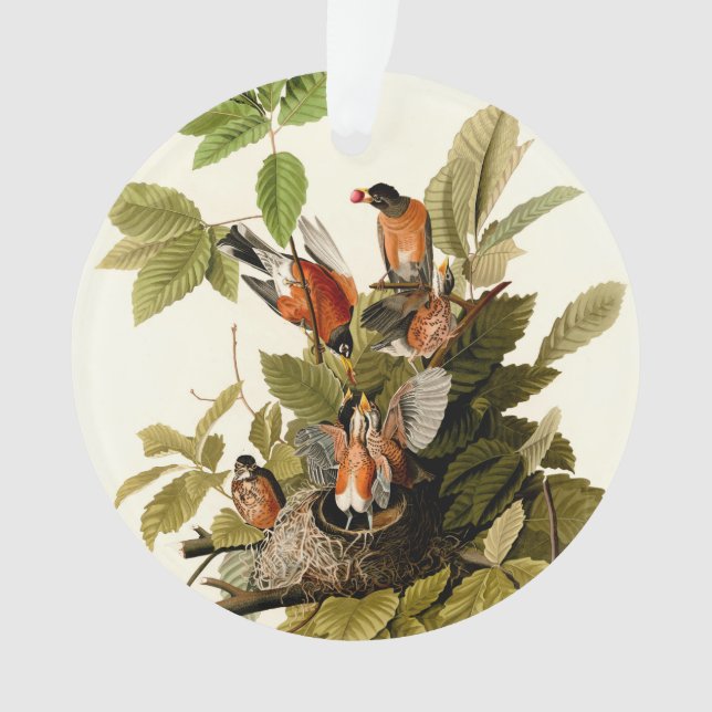 Ornamento Ilustração de Pássaros Robin Wildlife da América d (Frente)