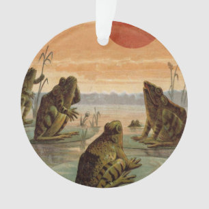 Ornamento Ilustração de Rãs Almofadas de Lírio Lua