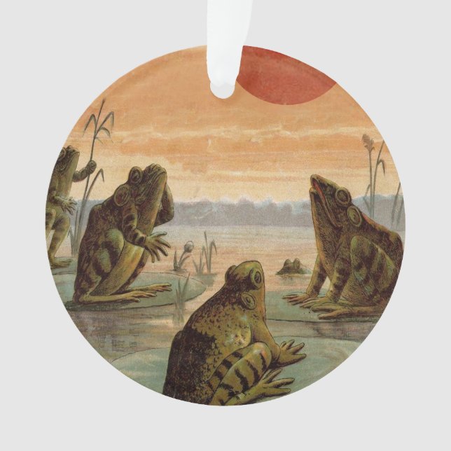 Ornamento Ilustração de Rãs Almofadas de Lírio Lua (Frente)