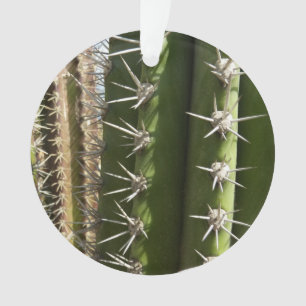 Ornamento Imagem natural do deserto Barrel Cactus II