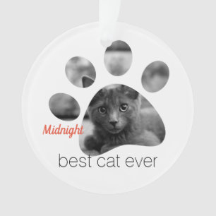Ornamento Impressão de Fotos de Cat Personalizada