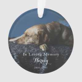 Ornamento In Loving Memory Pet Photo Memorial