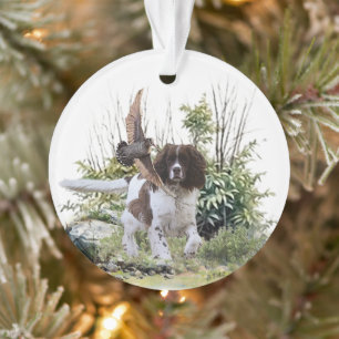 Ornamento Inglês Springer Spaniel