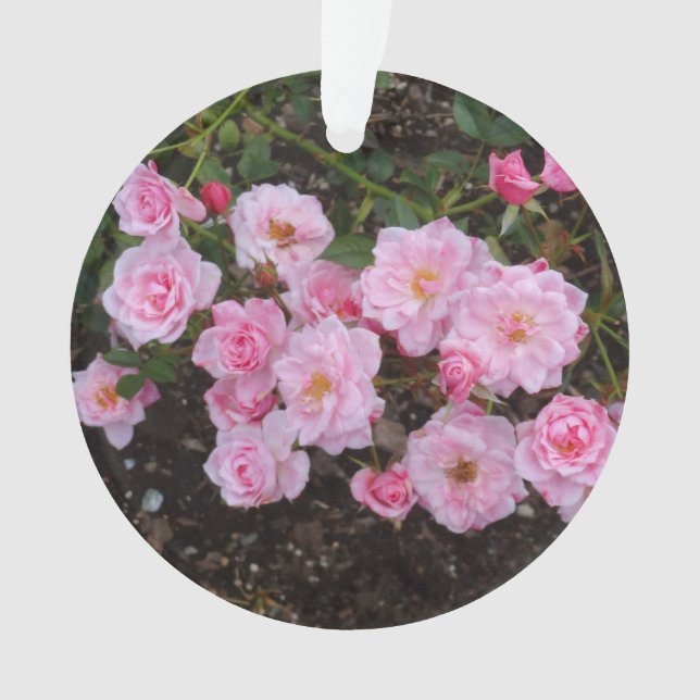 Ornamento Jeanne LaJoie Rosa nº 1 Ornament (Frente)