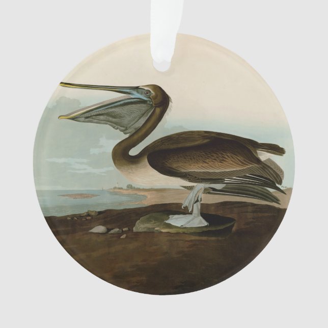Ornamento John James Audubon Brown Pelican Trabalho de arte  (Frente)