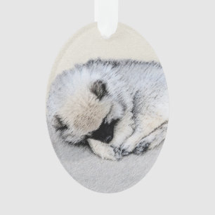 Ornamento Keeshond Dormindo Puppy Pintura Original