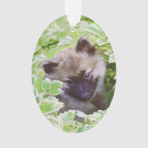 Ornamento Keeshond Puppy na Pintura Original