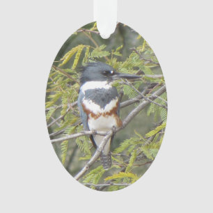 Ornamento Kingfisher