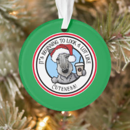 Ornamento KiniArt Cesky Terrier Natal