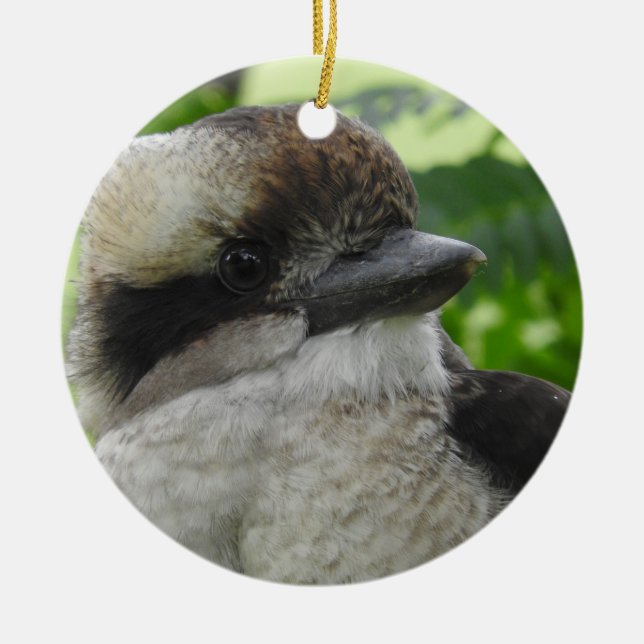 Ornamento Kookaburra (Frente)