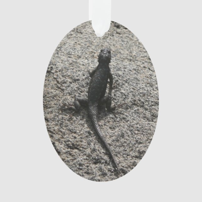 Ornamento Lagarto Preto (Frente)