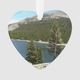 Ornamento Lago Tenaya no Parque Nacional de Yosemite