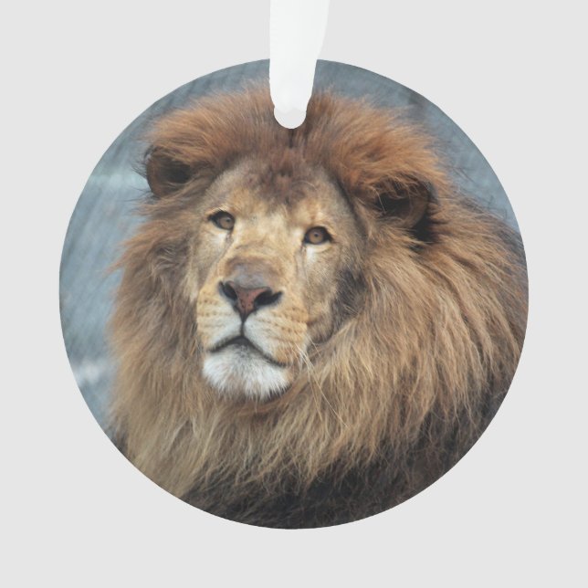 Ornamento Lambert - (Frente)