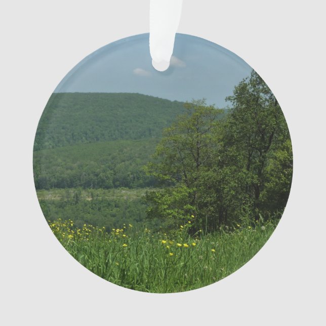 Ornamento Laurel Highlands Pennsylvania Summer Photoics (Frente)