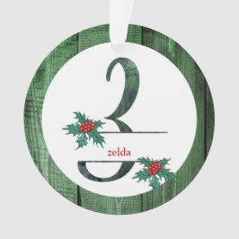 Ornamento *~* Letra Z FÓTULOS Russos de Natal AP44