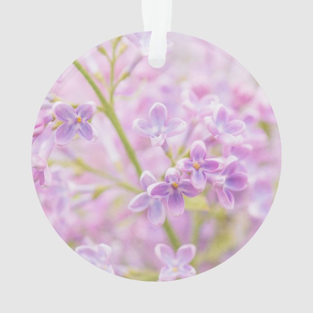 Ornamento Lilac Flowers Mist (Verso)