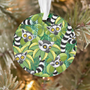 Ornamento Limures de Madagáscar na selva exótica