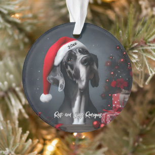 Ornamento Lindo Great Dane com Chapéu de Papai Noel