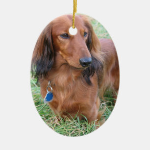 Ornamento longo do Dachshund do cabelo