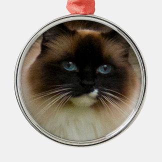 Ornamento Loveable do gato de Ragdoll
