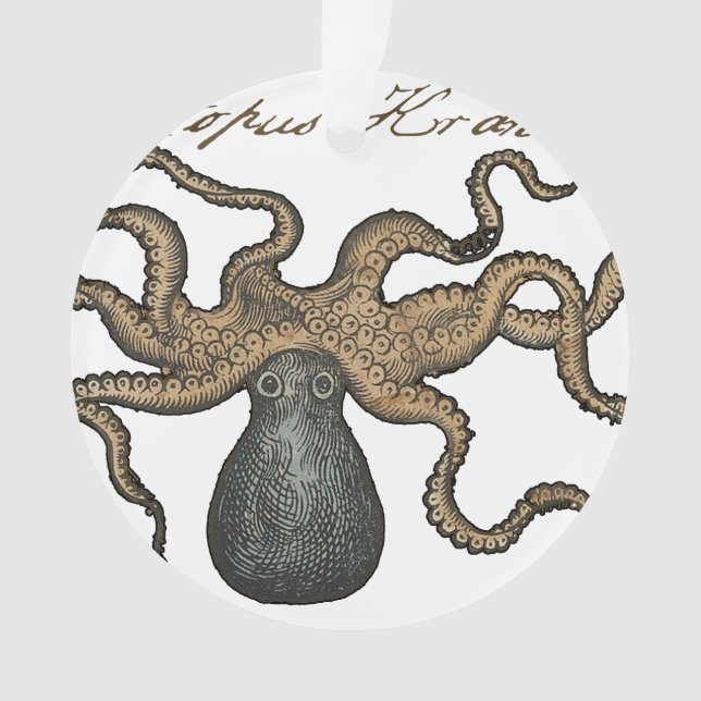 Ornamento Lula Kraken Antigo Marinho Vida Selvagem Costeira (Frente)