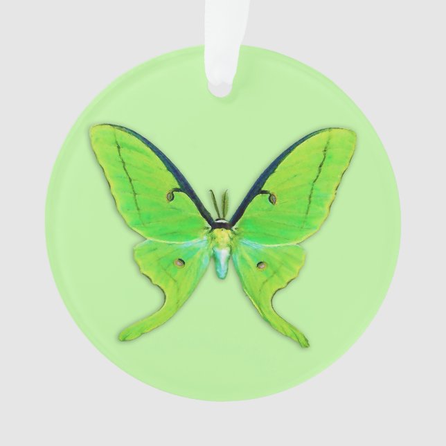 Ornamento Luna moth com um fundo verde pálido (Frente)