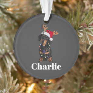 Ornamento Luzes de Natal para Cachorro Dachshund com Nome Pe