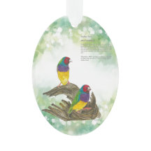 Maca Gouldian Colorida Pintada À Mão Ameaçada